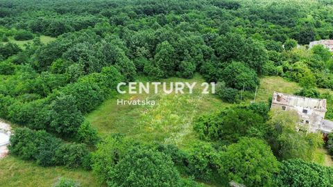 SVETVINČENAT, TERRENO EDIFICABLE RODEADO DE VEGETACIÓN A solo 1 km del centro de la ciudad histórica de Svetvinčenat, vendemos una parcela edificable de 2808 m2. El terreno tiene una forma regular. Cuenta con una carretera de acceso. Infraestructura ...