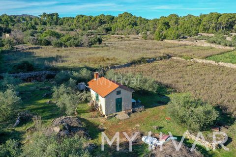 Im fruchtbarsten Teil der Insel Hvar, im Polonda-Gebiet zwischen Jelsa und Svirač, liegt dieses charmante Haus umgeben von natürlichen Ressourcen auf einem großzügigen Grundstück von 8.726 m². Das Haus verfügt über mehr als 20 m², mit dazugehörigem W...