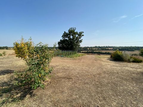 photo no. 12
