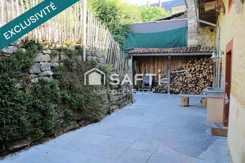 photo no. 14