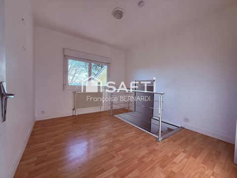 photo no. 11
