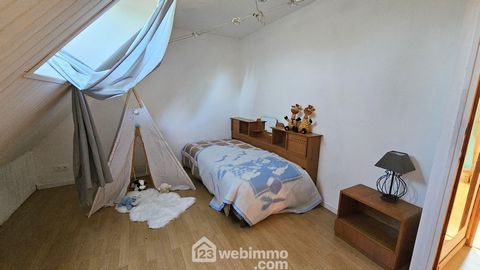 photo no. 13