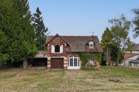 photo no. 16