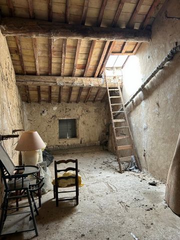 photo no. 13