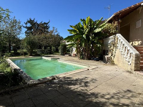 photo no. 17