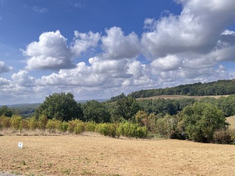 photo no. 1