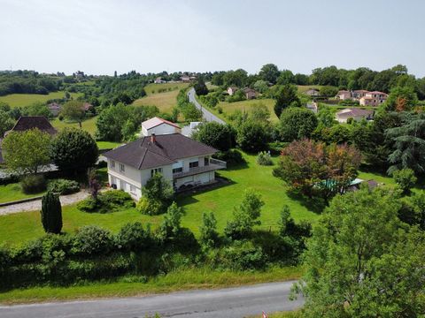 photo no. 5