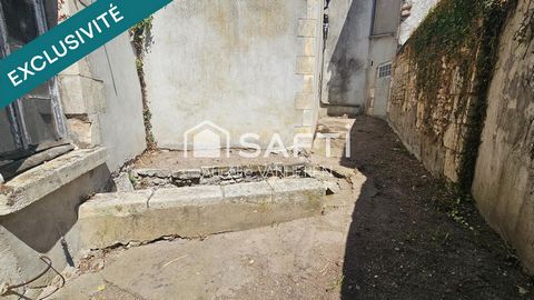photo no. 6