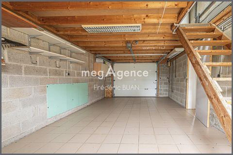 photo no. 11