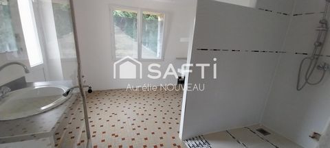 photo no. 12