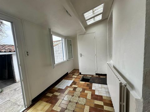 photo no. 4