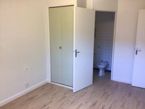 photo no. 19