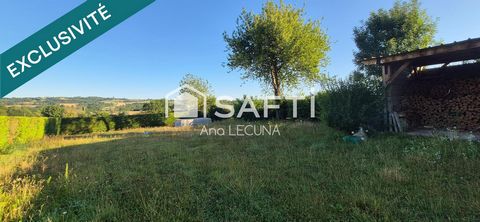 photo no. 15