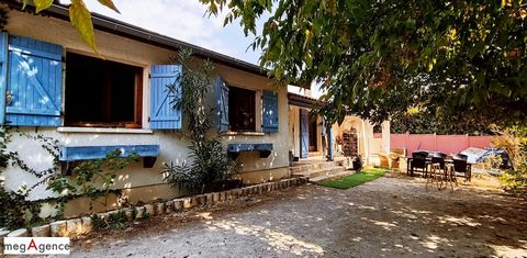 photo no. 10