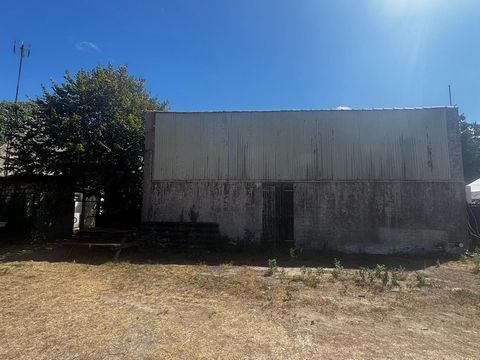 photo no. 2
