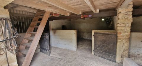photo no. 10