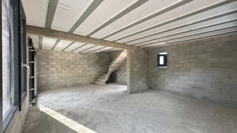 photo no. 6