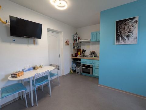 photo no. 13