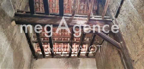 photo no. 12