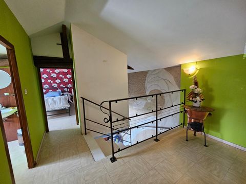 photo no. 8