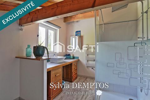 photo no. 14