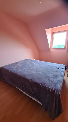 photo no. 10