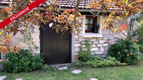 photo no. 16