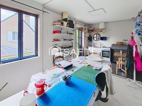 photo no. 15