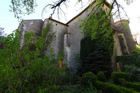 photo no. 11