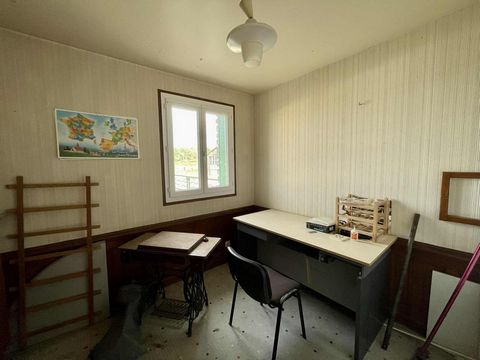 photo no. 11