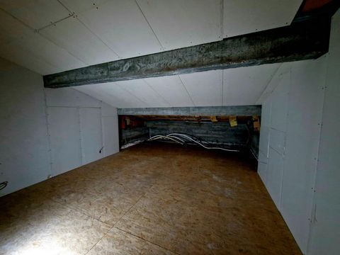 photo no. 11