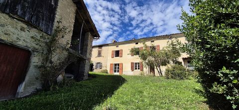 photo no. 16