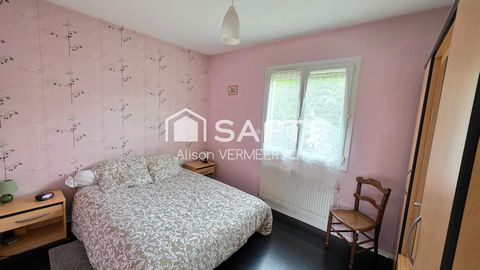 photo no. 11