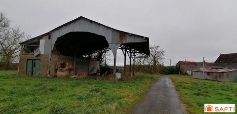 photo no. 6