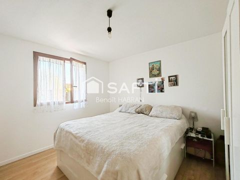 photo no. 11