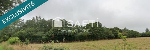 Terrain boisé de 6 585 m² à Lignières – idéal pour le bois de chauffage