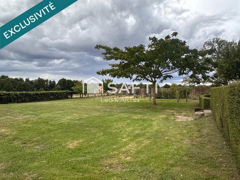 photo no. 12
