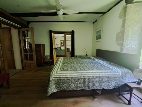 photo no. 9