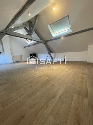 beaux volumes +1 pièce indépendante- petite copro