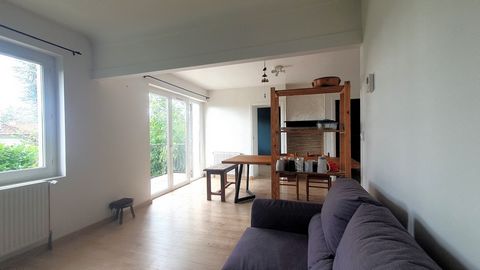 photo no. 35