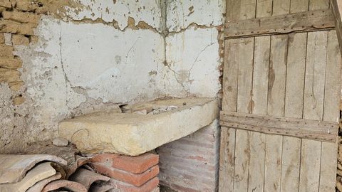 photo no. 6