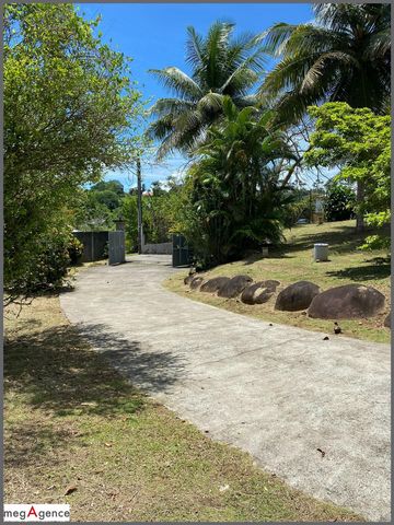 photo no. 8