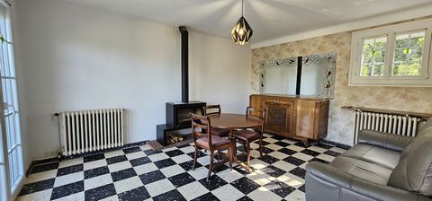 photo no. 8