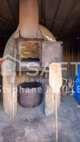 photo no. 10