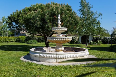 photo no. 14