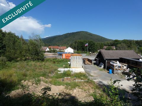 photo no. 2
