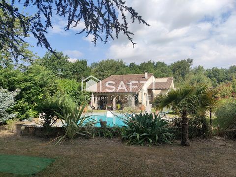 photo no. 10