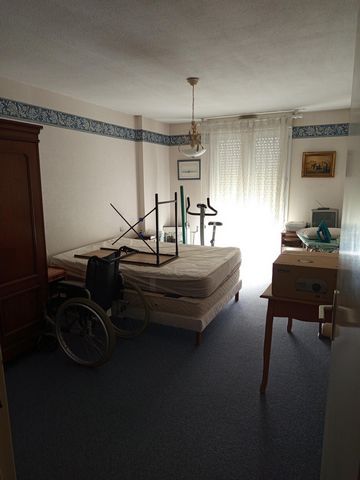 photo no. 4