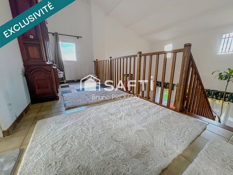 photo no. 13