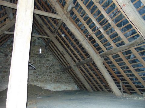 photo no. 6